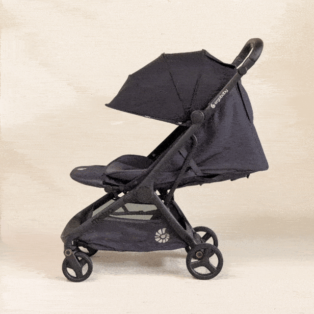 Ergobaby коляска в літак