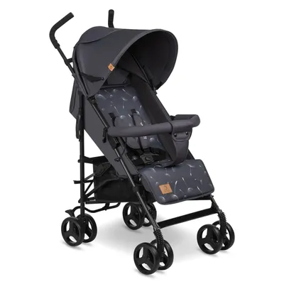 Пошук — Photo 20