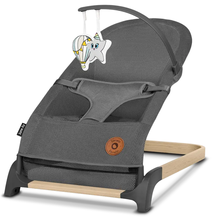 Дитячий шезлонг Lionelo JUNE AIR GREY GRAPHITE — Photo 4