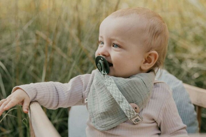 Мусліновий нагрудник BIBS Bandana Bib Elderberry — Photo 22