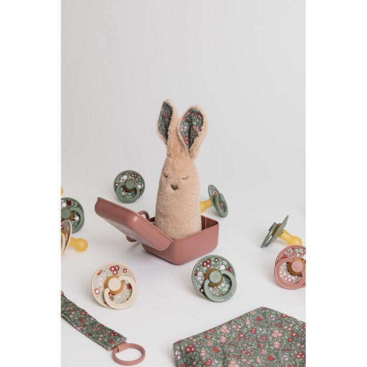 Контейнер для пустушок BIBS x Liberty Pacifier Box – Chamomile Lawn Woodchuck — Photo 5