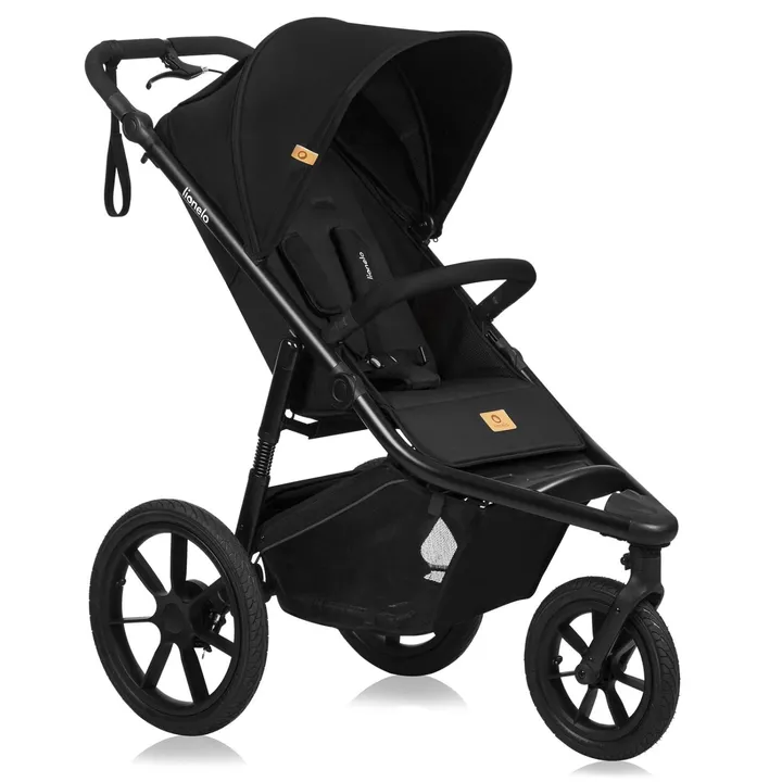 Прогулянкова коляска Lionelo AZURA BLACK ONYX — Photo 3