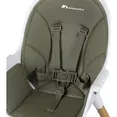 Стільчик для годування BEBE CONFORT AVISTA Mineral Green — Photo 1