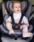 Автокрісло BEBE CONFORT EVOLVEFIX i-Size Gray Mist — Photo 6
