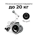 Біговел дитячий Hauck 1st Ride Three Ladybug Red — Photo 5