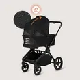 Універсальна коляска 2 в 1 Lionelo FREYA 2IN1 BLACK ONYX — Photo 1