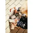 Рюкзак дитячий Childhome Mini Club canvas off white, арт. CWKIDSCOW — Photo 3