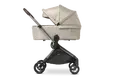 Коляска дитяча 2 в 1 Mast M.6X LION